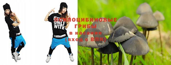 кристаллы Дмитриев
