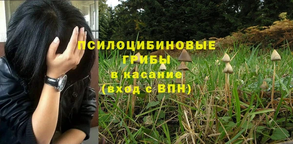 круглые Дмитровск