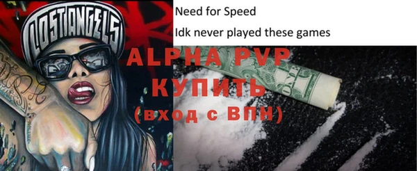 бошки Гусев