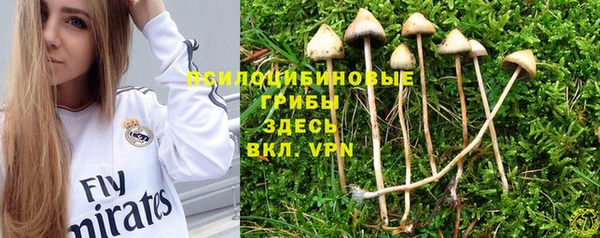 круглые Дмитровск